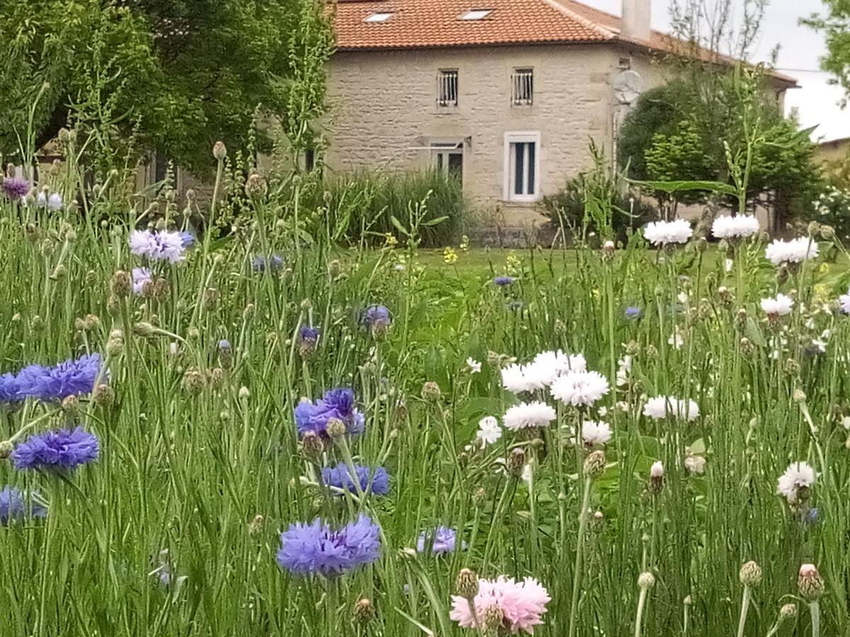 Chambres D'Hotes Chateau Pierre De Montignac Civrac-en-Médoc Esterno foto